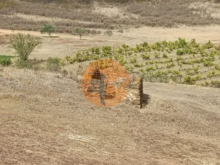 Image No.4-Plot for sale