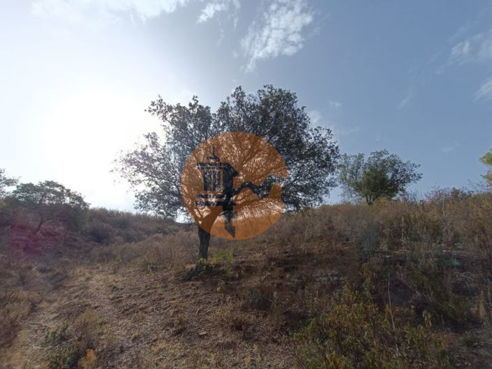 Image No.41-Plot for sale