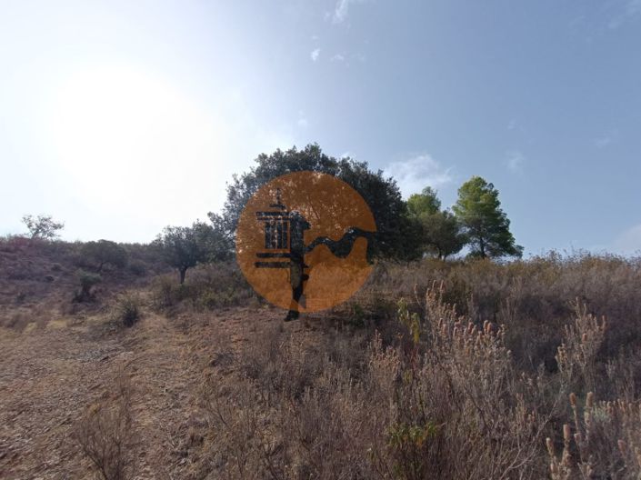 Image No.45-Plot for sale