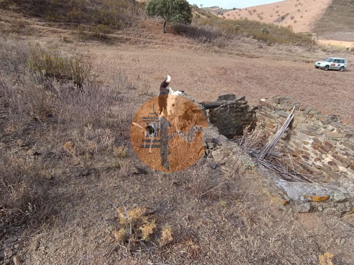 Image No.9-Plot for sale