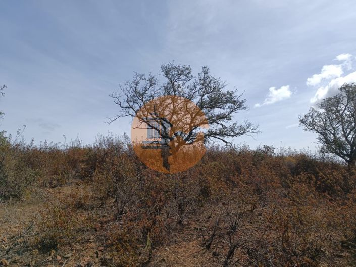 Image No.11-Plot for sale