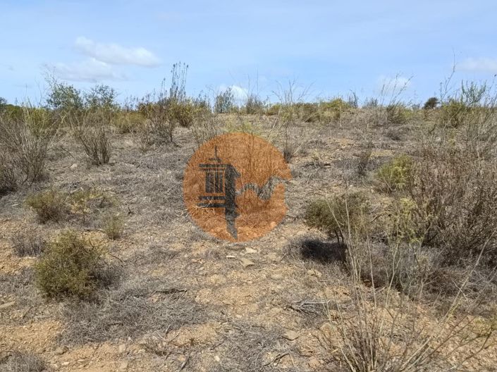 Image No.7-Plot for sale