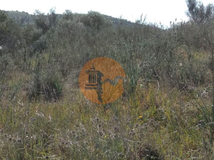 Image No.14-Plot for sale