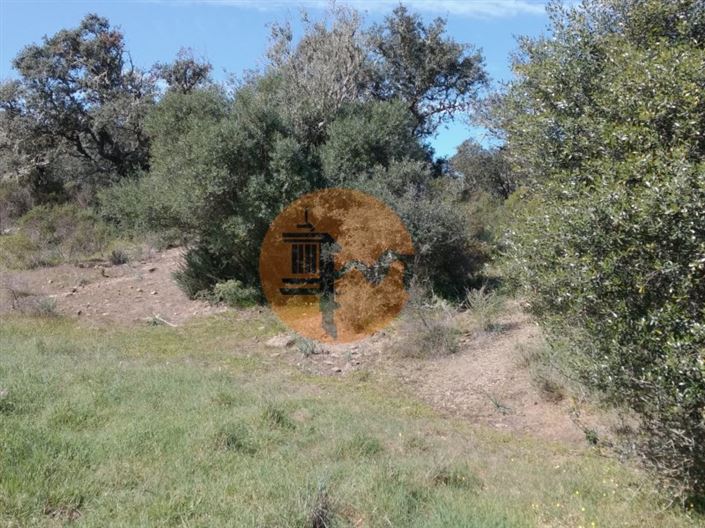 Image No.15-Plot for sale