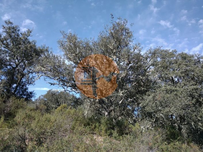 Image No.16-Plot for sale