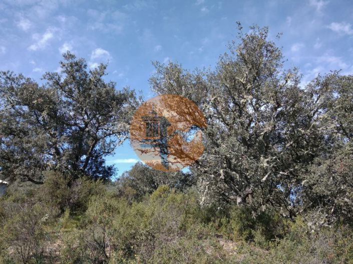 Image No.23-Plot for sale