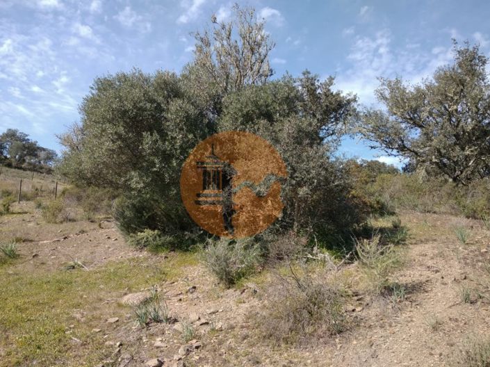 Image No.25-Plot for sale