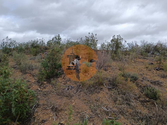 Image No.12-Plot for sale