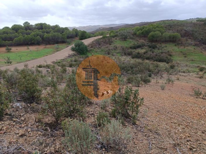 Image No.16-Plot for sale