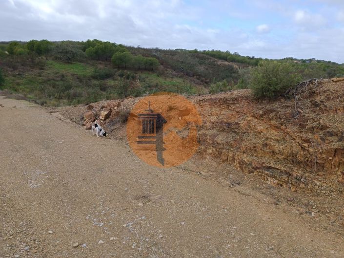 Image No.8-Plot for sale