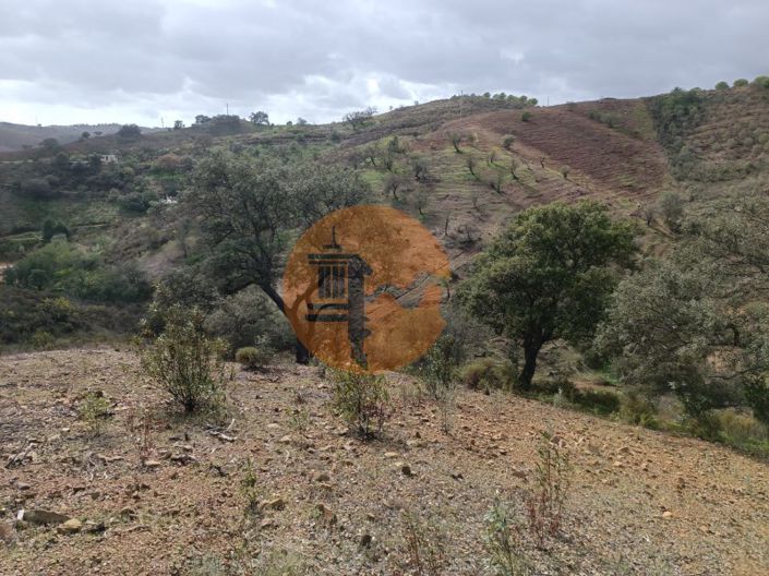 Image No.10-Plot for sale