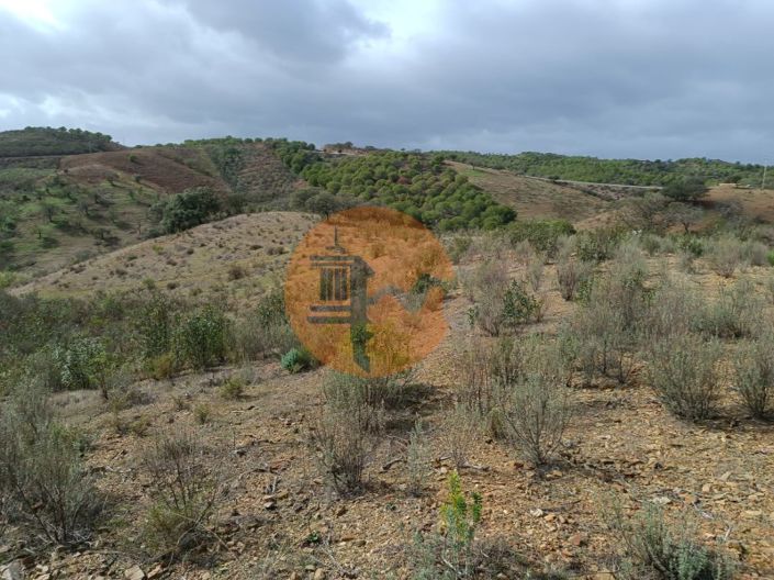 Image No.19-Plot for sale