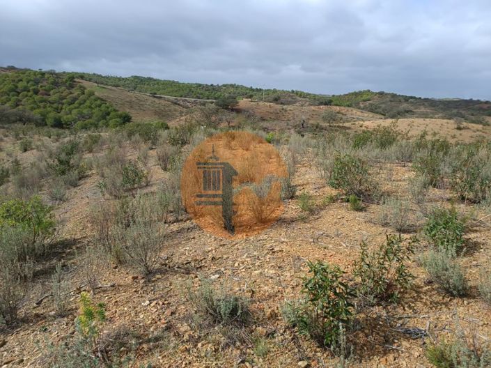 Image No.20-Plot for sale