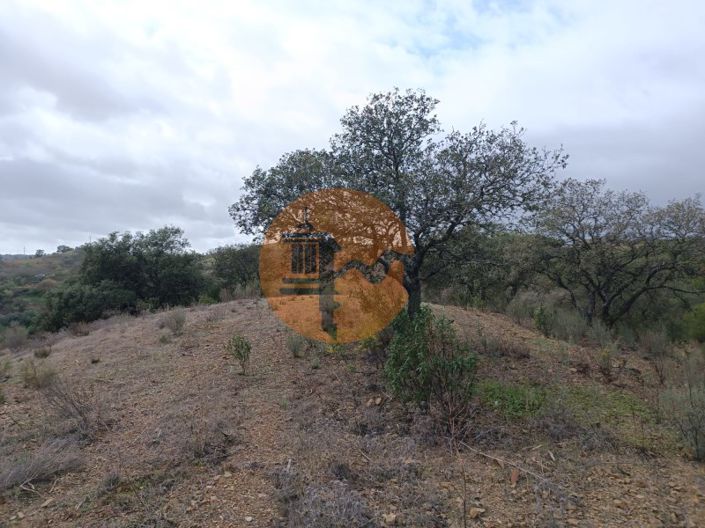 Image No.25-Plot for sale