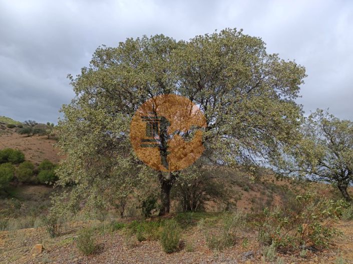 Image No.3-Plot for sale