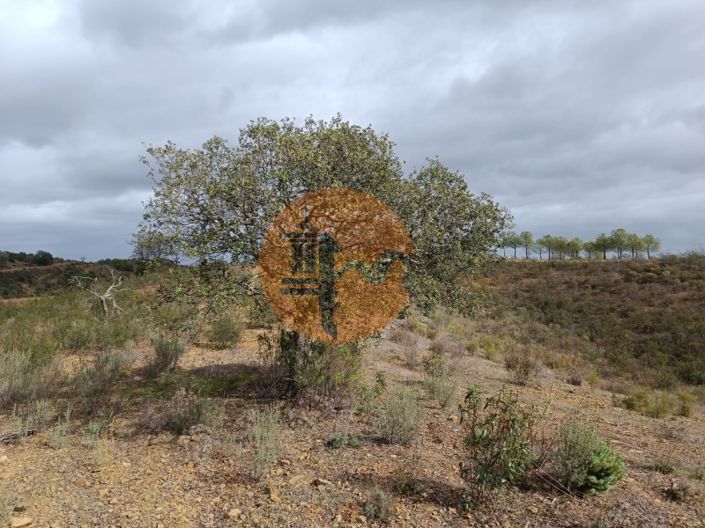 Image No.30-Plot for sale