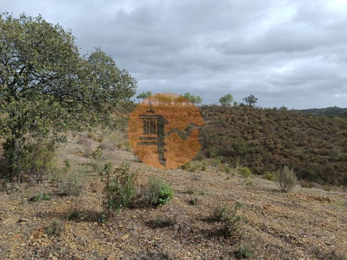 Image No.31-Plot for sale