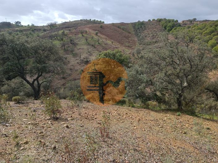 Image No.33-Plot for sale