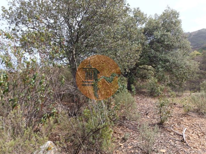 Image No.38-Plot for sale