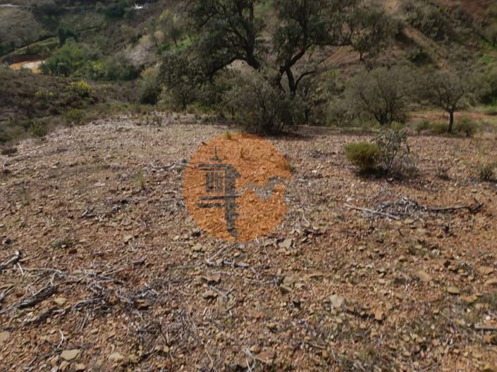 Image No.39-Plot for sale