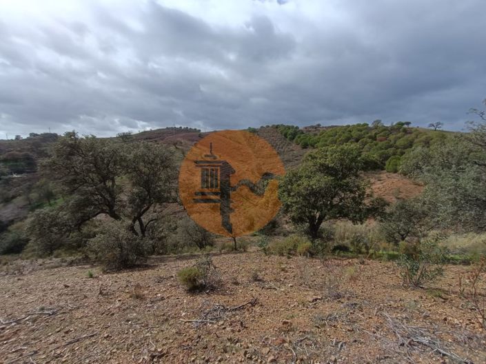 Image No.41-Plot for sale