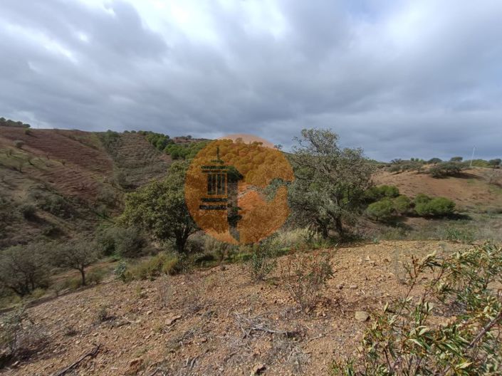 Image No.42-Plot for sale