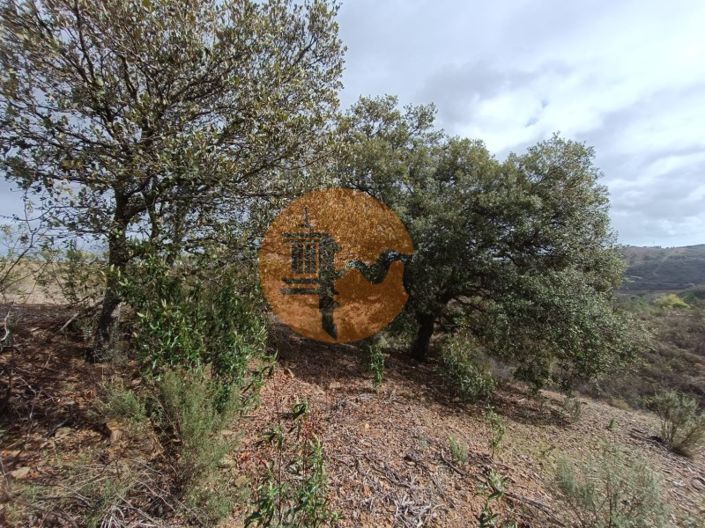 Image No.6-Plot for sale