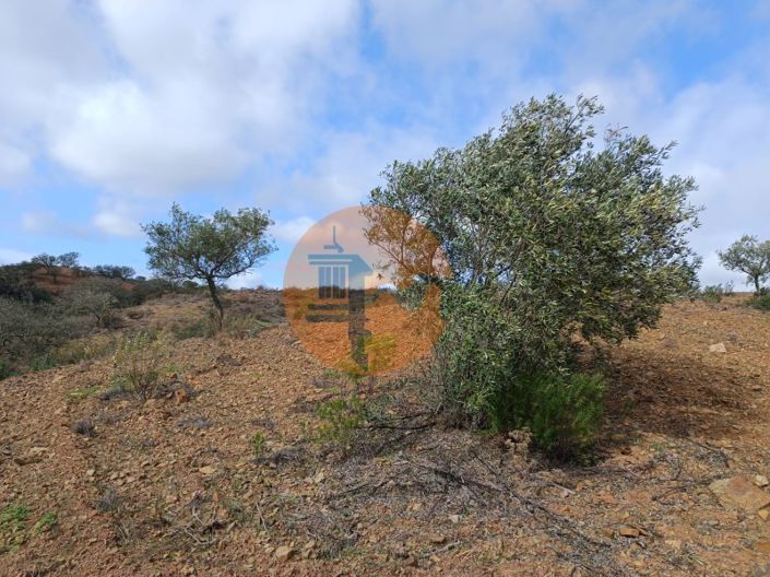 Image No.17-Plot for sale