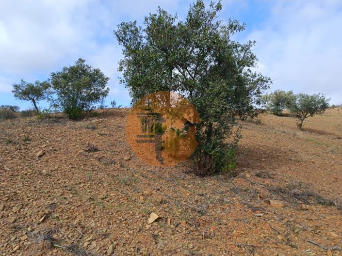 Image No.20-Plot for sale