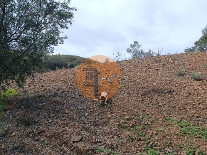 Image No.22-Plot for sale