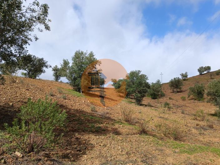 Image No.24-Plot for sale