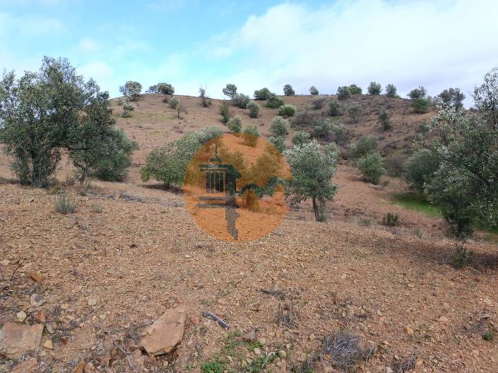 Image No.4-Plot for sale