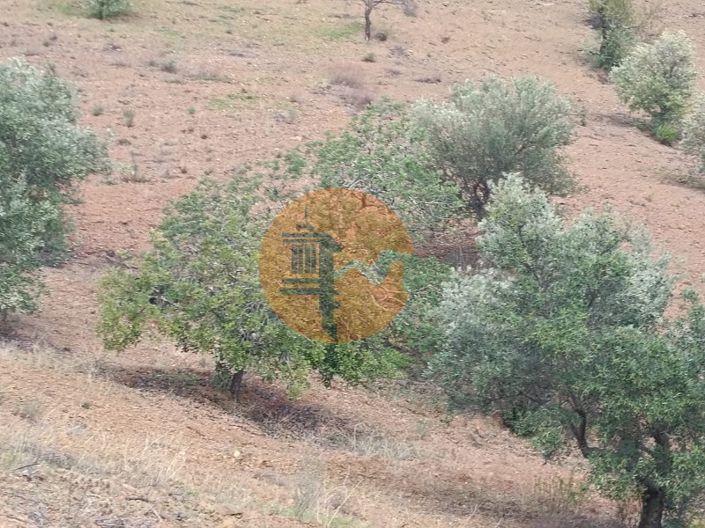 Image No.6-Plot for sale