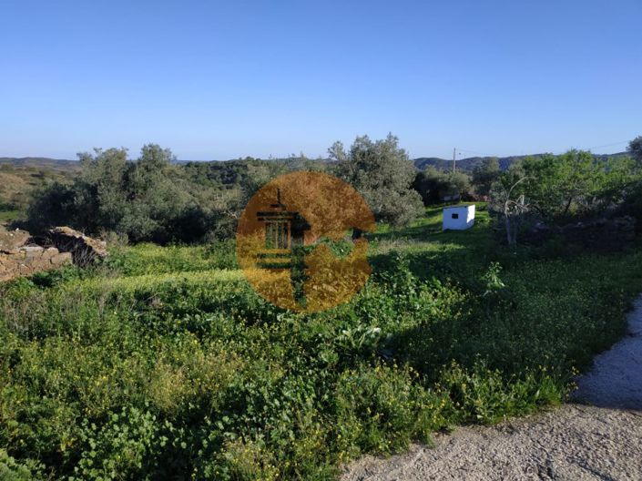 Image No.21-3 Bed House for sale