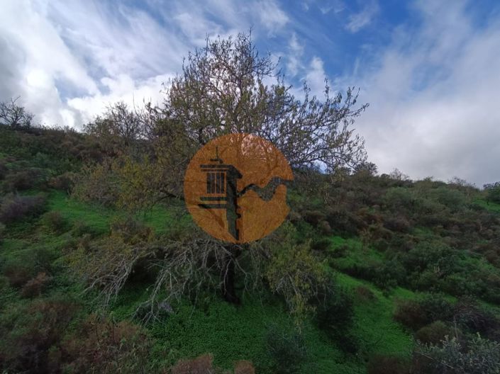 Image No.25-Plot for sale