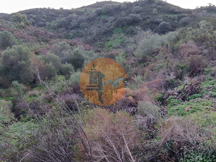 Image No.27-Plot for sale