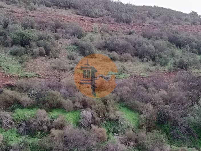 Image No.29-Plot for sale