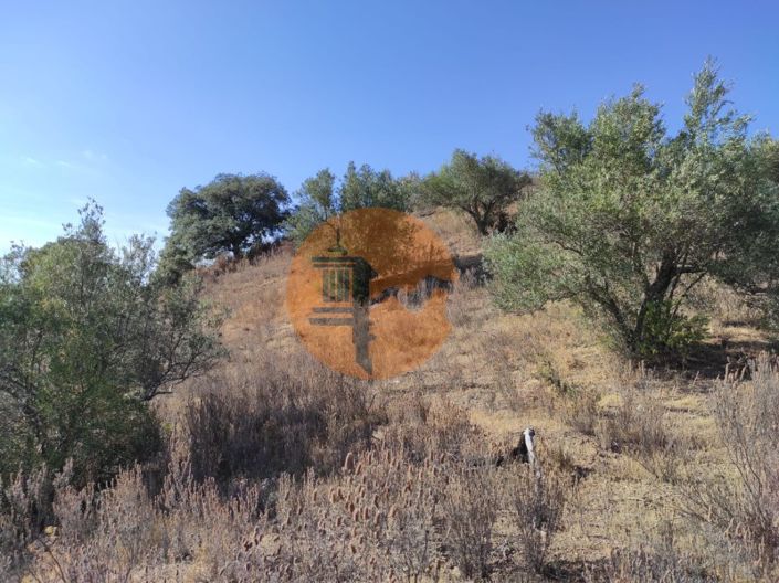 Image No.20-Plot for sale