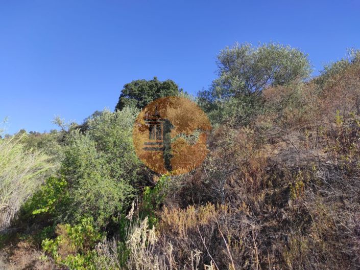 Image No.22-Plot for sale