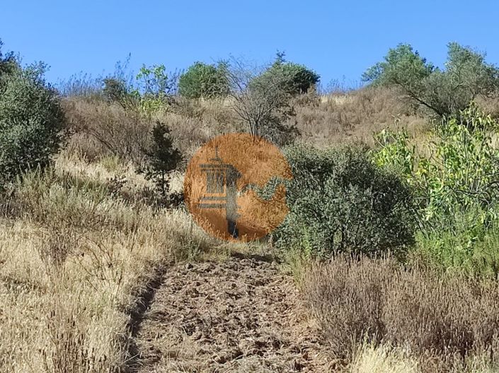 Image No.29-Plot for sale