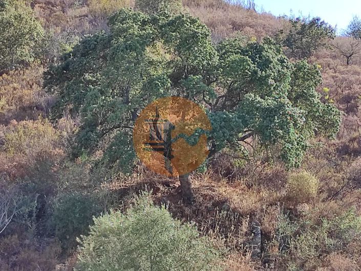 Image No.31-Plot for sale