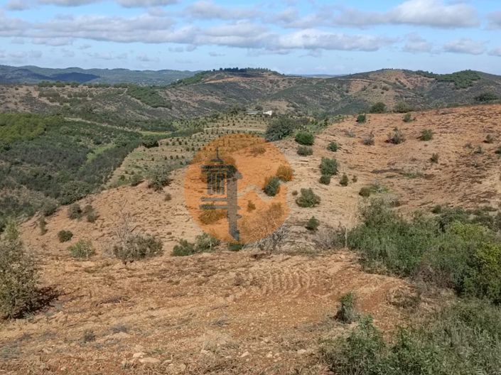 Image No.48-Plot for sale