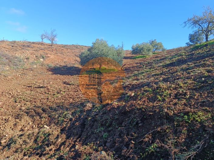 Image No.50-Plot for sale