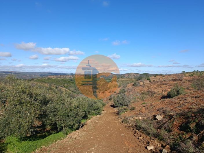 Image No.54-Plot for sale