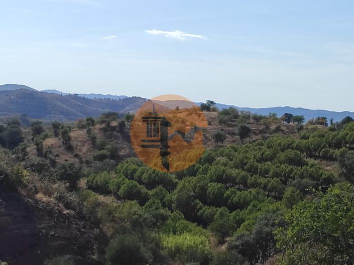 Image No.9-Plot for sale