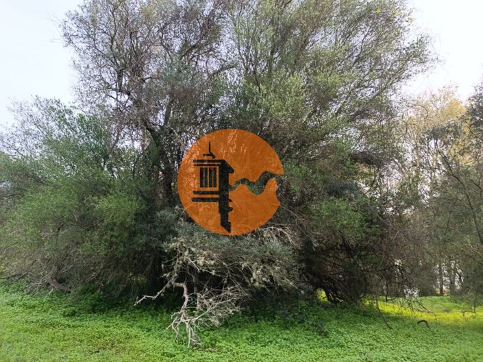 Image No.11-Plot for sale