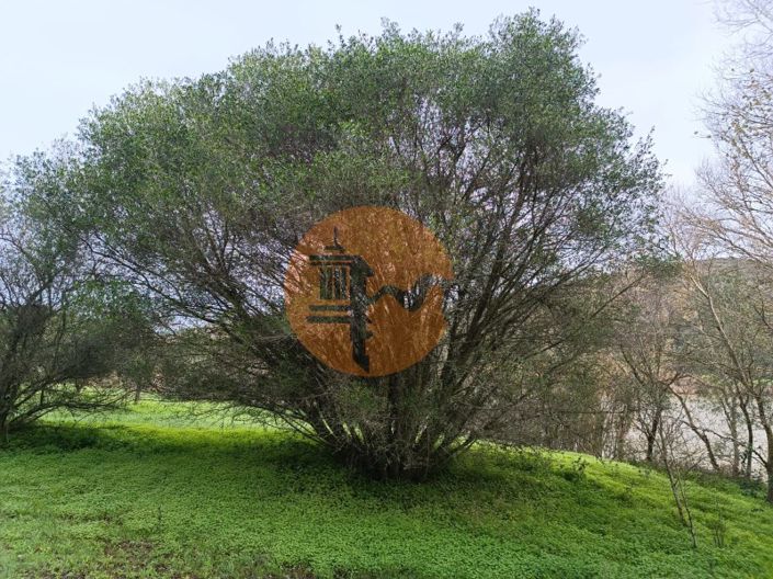 Image No.14-Plot for sale