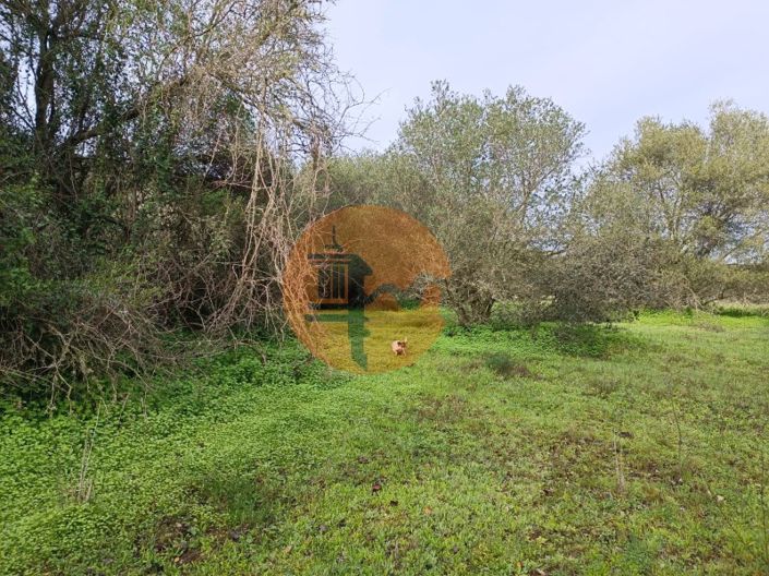 Image No.16-Plot for sale