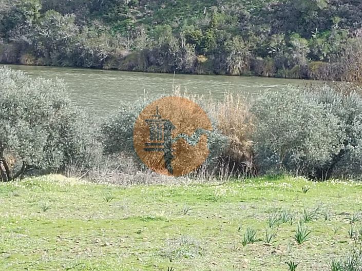 Image No.10-Plot for sale