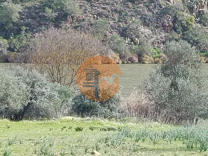 Image No.13-Plot for sale